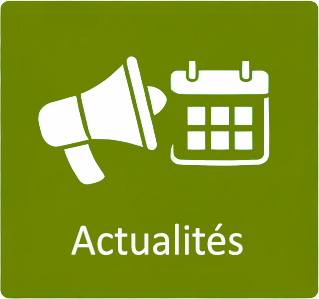 bouton actualités
